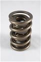 PAC Racing 1200 Series Valve Springs PAC-1227