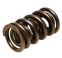 PAC Racing 1200 Series Circle Track Valve Springs PAC-1239-16