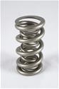 PAC Racing Springs Valve Springs PAC-1331