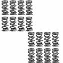 PAC Racing 1300 Series Valve Springs PAC-1355-16
