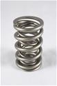 PAC Racing 1300 Series Valve Springs PAC-1396-16
