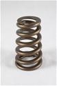 PAC Racing Specialty & Class Specific Valve Springs PAC-1427