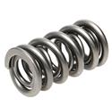PAC Racing 1500 Series Valve Springs PAC-1529-16