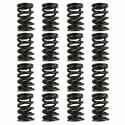 PAC Racing 1900 Series Hot Rod Valve Springs PAC-1903-16