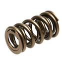 PAC Racing 1900 Series Hot Rod Valve Springs PAC-1904-16