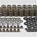 PAC Racing 1900 Series Hot Rod Valve Spring Kits PAC-KS15