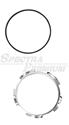 Spectra Premium Fuel Tank Lock Rings LO04