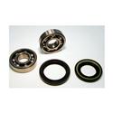 SKF Bearings - Wheel Bearing & Seal Kits for 1987-1988 JUSTY - BK5