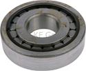 SKF Bearings Axle Bearings MUS1307TM1