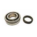 SKF Bearings Axle Bearings RW509-FR