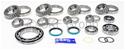 SKF Bearings Ring and Pinion Gear Installation Kits SDK192-FB
