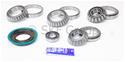 SKF Bearings Ring and Pinion Gear Installation Kits SDK217-R
