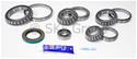 SKF Bearings Ring and Pinion Gear Installation Kits SDK4360