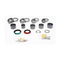 SKF Bearings Manual Transmission Rebuild Kits STK208-D