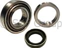 SKF Bearings Wheel Bearing and Hub Assemblies WKH131