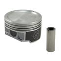 Click here for more information about Sealed Power H877CP - Speed-Pro Hypereutectic Pistons Click here for more information about Sealed Power H877CP - Speed-Pro Hypereutectic Pistons