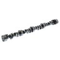 Summit Racing™ Pro SBC LS Firing Order Hydraulic Roller Camshafts SUM-1225