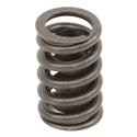 Summit Racing™ Valve Springs SUM-174000-1