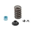 Summit Racing™ Valve Springs SUM-174000-1