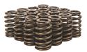 Click here for more information about Summit Racing SUM-174002 - Summit Racing™ Valve Springs Click here for more information about Summit Racing SUM-174002 - Summit Racing™ Valve Springs
