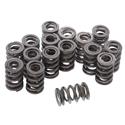 Summit Racing™ Valve Springs SUM-174013DP-16