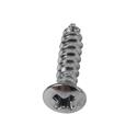Summit Racing™ Trim Screws SUM-RP10052