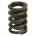 Trick Flow® by PAC Racing Single Valve Springs TFS-16942-1