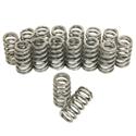 Trick Flow® by PAC Racing Beehive Valve Springs TFS-16125-16