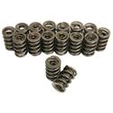 Trick Flow® by PAC Racing Dual Valve Springs TFS-16097-16