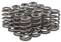 Click here for more information about Trick Flow Specialties TFS-16918-16 - Trick Flow® by PAC Racing Beehive Valve Springs Click here for more information about Trick Flow Specialties TFS-16918-16 - Trick Flow® by PAC Racing Beehive Valve Springs