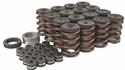 Trick Flow® Valve Spring Upgrade Kits TFS-2500100