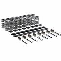 Trick Flow® Double Platinum .660 LS Dual Valve Spring and Retainer Kits TFS-2500286P