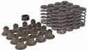 Click here for more information about Trick Flow Specialties TFS-2500500 - Trick Flow® Valve Spring Upgrade Kits for Ford 4.6L/5.4L 2V Engines