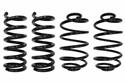 UMI Performance Lowering Springs 3051