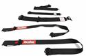 RaceQuip Camlock  5-Point Harness 742002RQP
