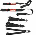 RaceQuip Camlock  6-Point Harness 743003RQP