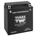 Yuasa AGM High Performance Maintenance-Free Batteries YTX20CH-BS