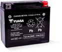 Yuasa AGM Maintenance-Free Batteries YTX20L