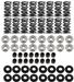 BTR Platinum Valve Spring Kits