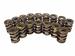 Click here for more information about COMP Cams 995-16 - COMP Cams Valve Springs