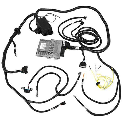 Ford Performance Parts M-6017-504V Ford Performance Parts 5.0L