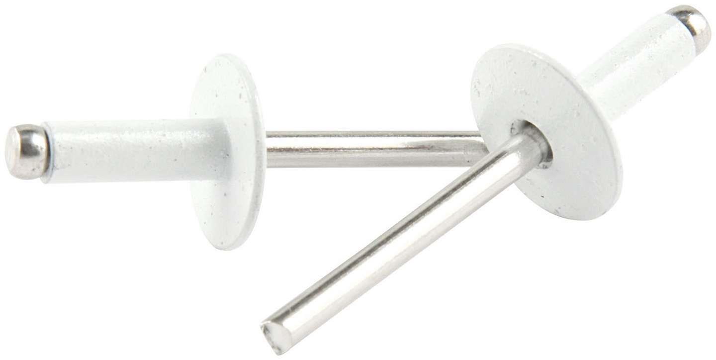 Allstar Performance ALL18158 Allstar Performance Large Head Rivets