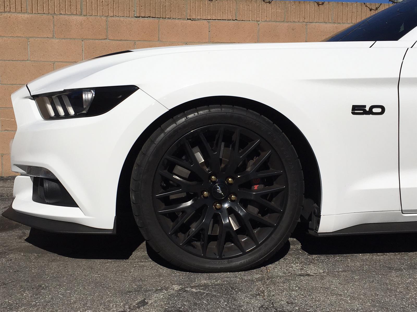 Aldan American Lowering Springs for 2015-2020 MUSTANG - 500100 AXS Mustang Spring Kit, Front and Rear, 1.0 in. Front, 1.0 in. Rear, Black, Set of 4 thumbnail 2