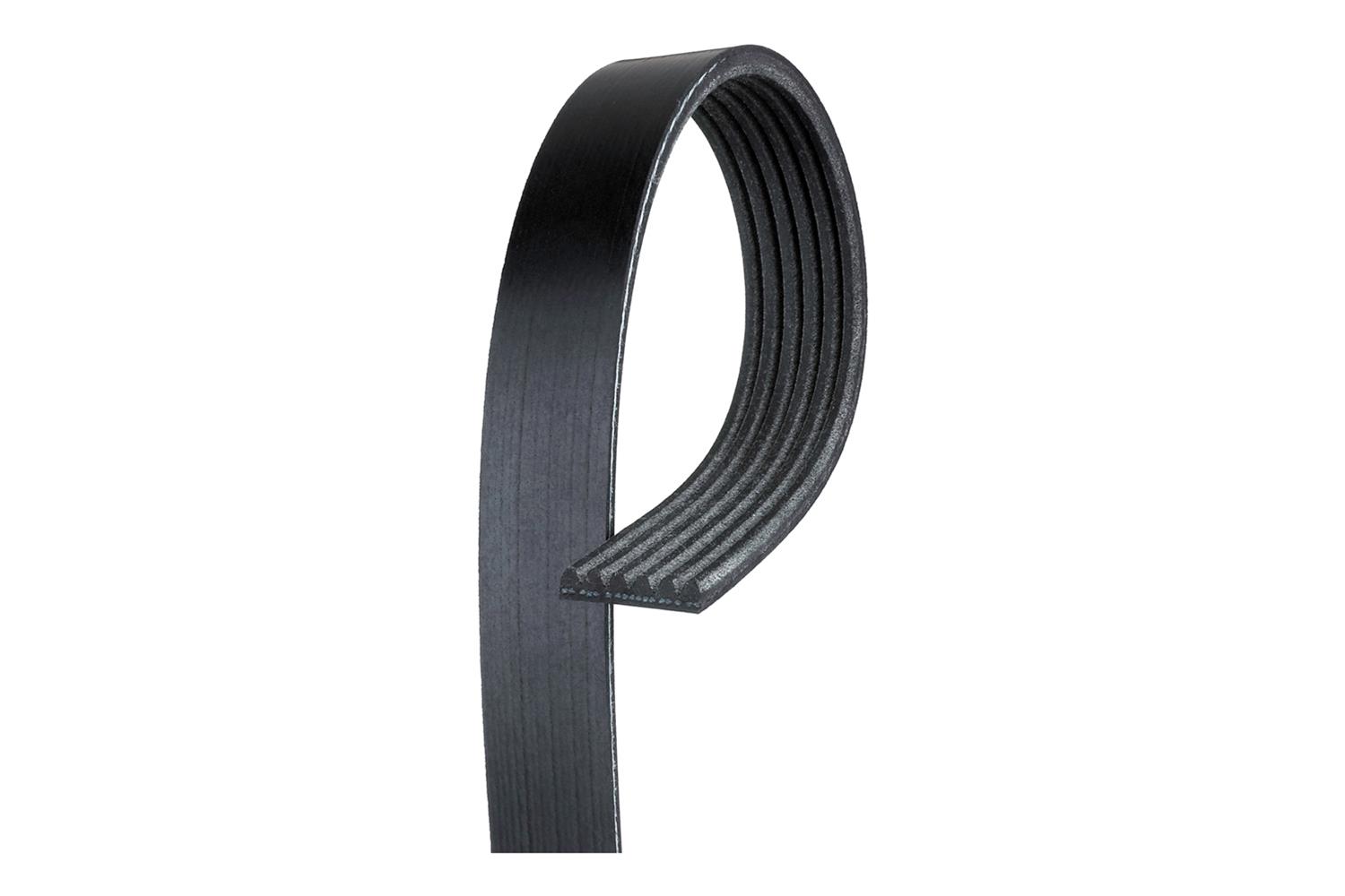 ACDelco 19355283 ACDelco V-Ribbed Serpentine Belts | Summit Racing
