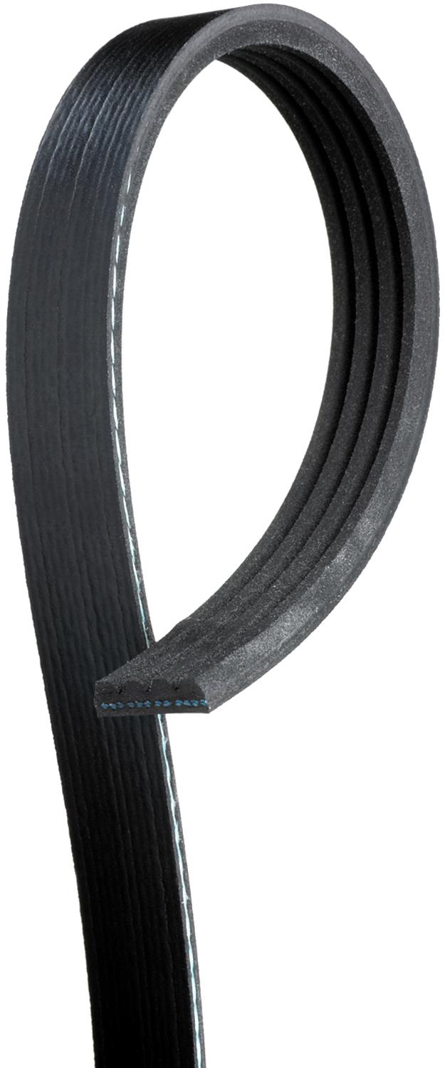 Dayco 5081305 Serpentine Belt Cross Reference - View #3
