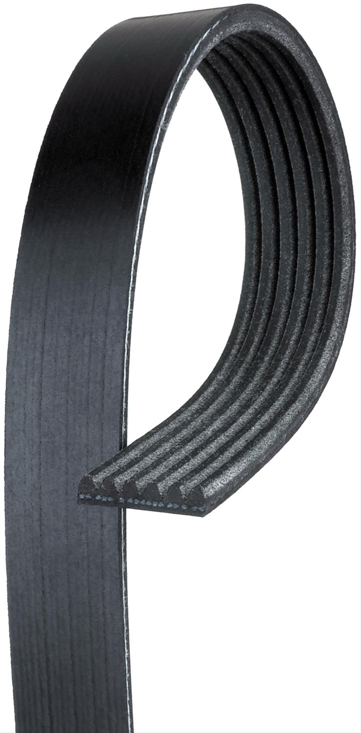 Standard V-Ribbed Serpentine Belt - ACDelco (6K798