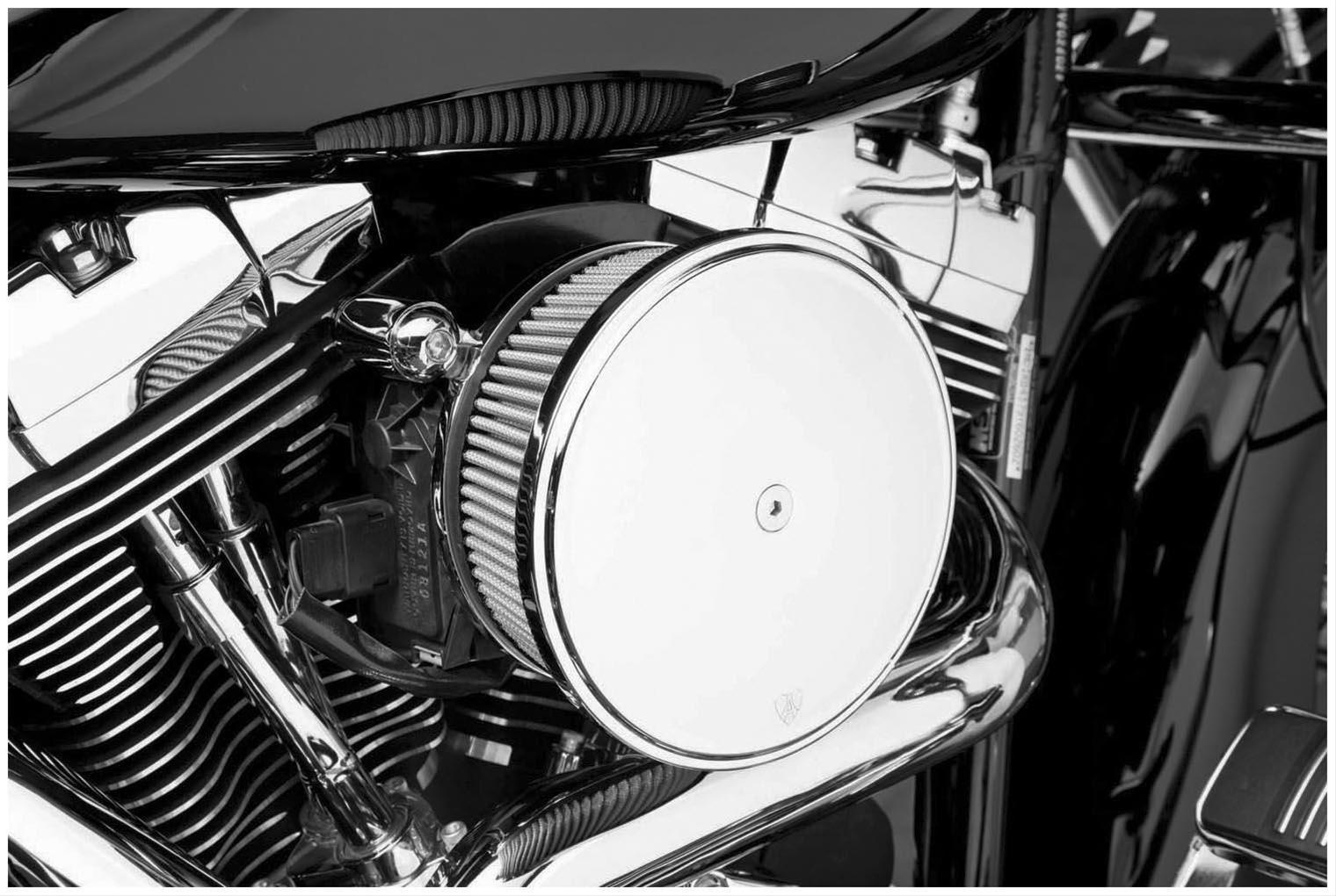 ARLEN NESS 50-819 Arlen Ness Big Sucker Stage II Air Filter