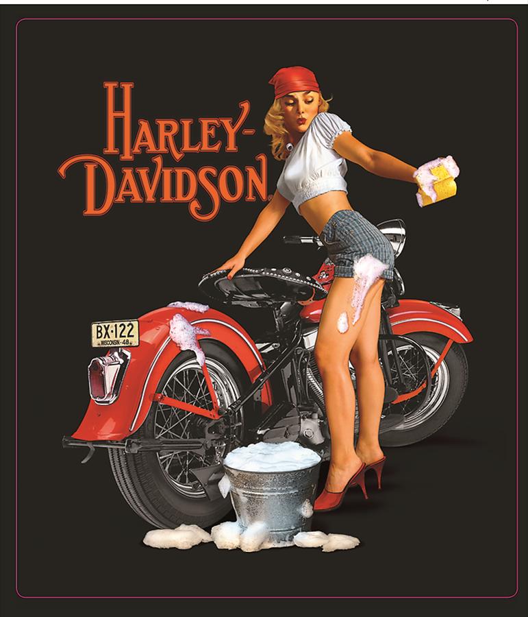 Harley-Davidson® Fixer Up Babe Embossed Signs 2010401 