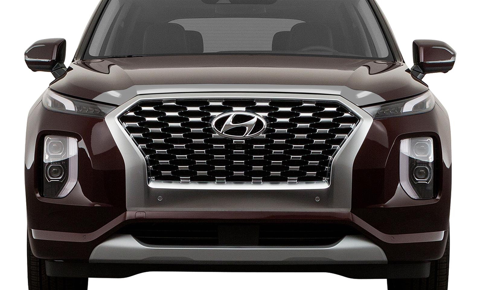 Auto Ventshade Aeroskin Deflectors 622159 Bug Guard, Aeroskin, Acrylic, Smoke, for use on Hyundai, Each