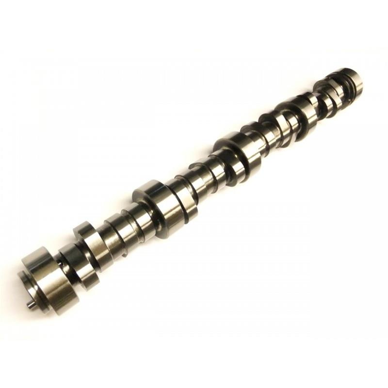 Brian Tooley Racing 32030163 BTR Camshafts | Summit Racing